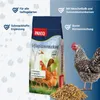 PANTO GKM Geflügelkörnermischung 25kg - Enten, Gänse & Produktbild-Vorschau 2