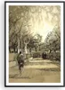 Gerahmtes Poster - Schwarzer Rahmen - Park Spaziergang Baum Produktbild-Vorschau 1