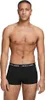 A man wearing black boxer briefs with a logo waistband. Produktbild-Vorschau