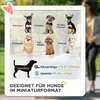 Carrello per cani PawHut 3 in 1: passeggino pieghevole per Anteprima dell’immagine prodotto 6