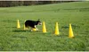 Kerbl 2-in-1 Agility Pylonen-Hürden Set Gelb 81994 Produktbild-Vorschau 7