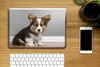 MuchoWow® Laptop Aufkleber Sticker Cover Ein Porträt eines Produktbild-Vorschau 2