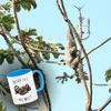 Faultier Papa mit Kind Kaffeebecher in hellblau mit Spruch Produktbild-Vorschau 3