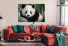 MuchoWow® Poster Panda - Wildtiere - Porträt - Stein 120x80 Produktbild-Vorschau 2