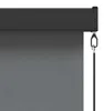vidaXL Rollo Hellgrau 180 x 250 cm Stoff und Aluminium Produktbild-Vorschau 5