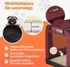 A marketing image showcasing a dark red dog carrier with various features highlighted by text and close-up insets. Anteprima dell’immagine prodotto
