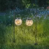 Two solar-powered globe lights hanging from hooks in a grassy outdoor setting with wildflowers. Produktbild-Vorschau