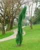 Sequoiadendron giganteum, Bergmammutbaum, 50–60 cm Produktbild-Vorschau 10
