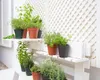 Artevasi Madagascar To Grow Pot, Anthrazit, 30 l, 400 mm, Produktbild-Vorschau 2