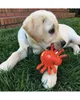 Lanco Pets - Hundespielzeug - Zahnspielzeug Spinne Produktbild-Vorschau 2