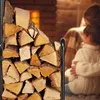 Vozík na palivové drevo RD6090 Náhľad obrázku produktu 3