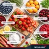 50x WELLGRO Einmachgläser 435ml – Schraubdeckel TO82 silber Produktbild-Vorschau 5