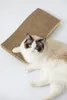 A ragdoll cat with blue eyes lies on a scratching board. Náhľad obrázku produktu