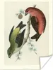 MuchoWow® Poster Antiker Vogeldruck Singvögel 60x80 cm - Produktbild-Vorschau 1