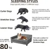 An infographic illustrating dog sleeping styles and a dog sofa. Voir les images du produit