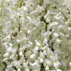 Glicynia (Wisteria) chińska Alba 2L Podgląd zdjęcia produktu 3