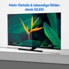 A split-screen comparison of a TV display showing a flower and leaves, highlighting the difference between 'Standard' and 'QLED' picture quality. Produktbild-Vorschau
