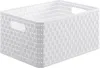 Rotho Contenitore di campagna 18l in look rattan, plastica Anteprima dell’immagine prodotto 1