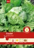 Artikelbild 1 von 'Eissalat Lakes' aus der Kategorie Eissalatsamen Produktbild-Vorschau