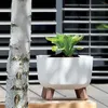 Prosperplast Gracia Square Blumentopf mit abnehmbaren Produktbild-Vorschau 22