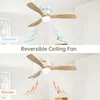 Ceiling fan demonstrating summer and winter modes. Anteprima dell’immagine prodotto