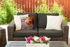 MuchoWow® Outdoor Kissen - Schottisches Hochlandrind - Produktbild-Vorschau 5