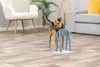 TRIXIE Turn Around Strategiespiel - diverse - 22 × 33 × 18 Produktbild-Vorschau 3