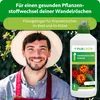 Purgrün Wandelröschen-Dünger 1 Liter, Produktbild-Vorschau 2