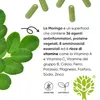 RedMoringa Moringa Kapseln Hochdosiert - 90 Vegane Kapseln Produktbild-Vorschau 8