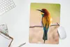 MuchoWow® Mauspad Mousepad Vögel - Bienenfresser - Tiere Produktbild-Vorschau 5