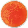 EDUPLAY 110374 Tapis de fascination, rond, Ø 40 cm, coloré, Voir les images du produit 6