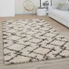 Hochflor Teppich Wohnzimmer Shaggy Langflor Modernes Boho Produktbild-Vorschau 1