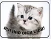 vianmo Holzschild 30x40 cm Katze ich hab dich lieb Produktbild-Vorschau 1