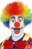 Clown Perücke regenborgen Karneval Faschingskostüm Produktbild-Vorschau 5
