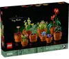 Miniatúrne rastliny Náhľad obrázku produktu 40