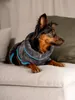TrendPet Dampfhund Hundebademantel Gr. 02 Produktbild-Vorschau 3