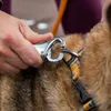 Smycz do biegania Ruffwear Roamer™ Podgląd zdjęcia produktu 11