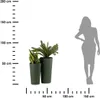 HowHomely | Fioriera, set di 2 vasi da fiori, vaso per Anteprima dell’immagine prodotto 2