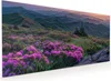 Küchenrückwand Spritzschutz Glas mit Motiv Berglandschaft Produktbild-Vorschau 1