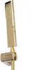A close-up shot of a gold-colored shower head and hose attachment. Produktbild-Vorschau