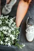 A person's arm and legs are visible next to a planter filled with a variegated plant. Produktbild-Vorschau