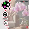 KOTARBAU® 2er Set Pflanzenstütze Transparent PVC 58 cm Produktbild-Vorschau 5