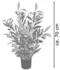 Künstliche Glanzmispel Photinia Kunstpflanze Künstliche Produktbild-Vorschau 6