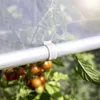 A close-up shot of a white clip attached to a silver pole, with tomatoes and green leaves visible in the background. Produktbild-Vorschau