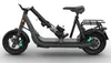 Egret GTs, 100 km, Lithium-Ion (Li-Ion), 47,45 V, 20 Ah, 7 Produktbild-Vorschau 10