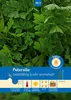 Artikelbild 1 von 'Petersilie Gigante d'Italia' aus der Kategorie Petersiliensamen Produktbild-Vorschau