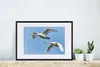 MuchoWow® Gerahmtes Poster Schwan - Vogel - Himmel - Blau Produktbild-Vorschau 4