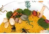Eduplay sensorisch speelgoed, Sensory Box Zee - Productafbeelding-voorbeeld 5