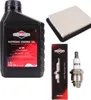 Wartungsset für Rasenmäher BRIGGS&STRATTON Quantum 625, Produktbild-Vorschau 1