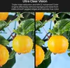A split image showing a comparison of video quality with and without noise reduction, featuring oranges on a branch. Produktbild-Vorschau